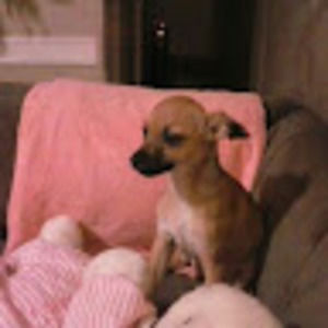 Meet your Posher, Selena